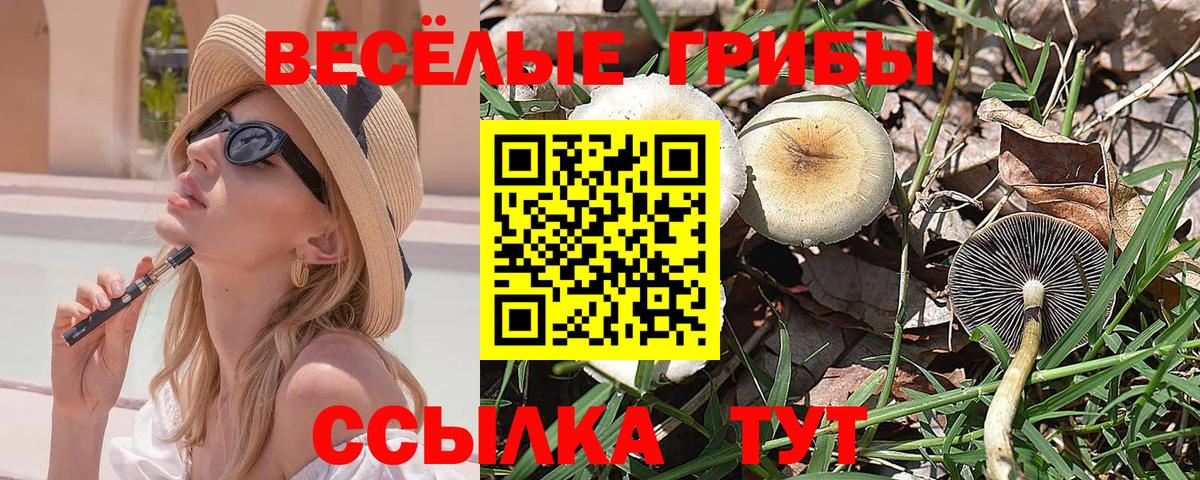 Галлюциногенные грибы Cubensis Карпинск