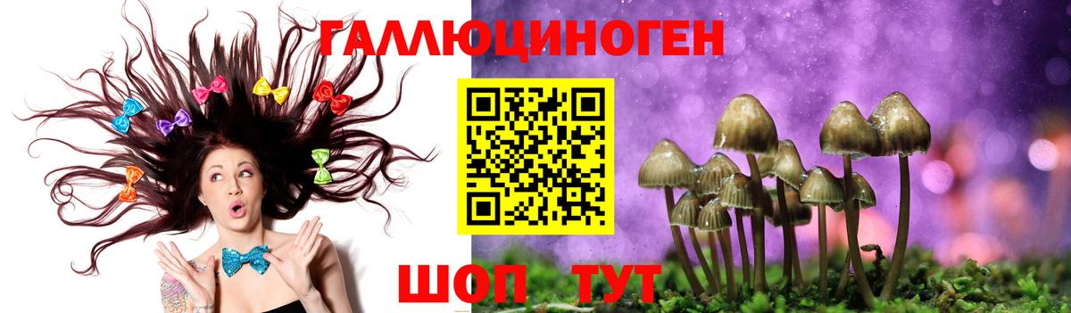 Карпинск  Галлюциногенные грибы мицелий  где продают   Вход с VPN 